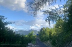 成都蓉城成功晋级亚冠正赛，引进四名重量级新援，球迷期待